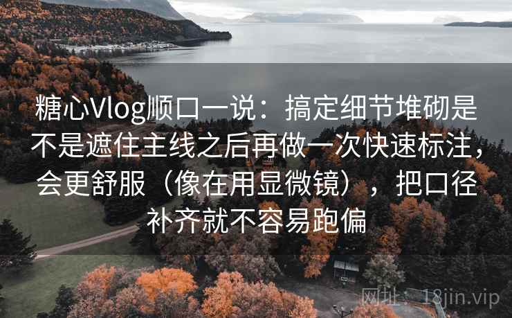 糖心Vlog顺口一说：搞定细节堆砌是不是遮住主线之后再做一次快速标注，会更舒服（像在用显微镜），把口径补齐就不容易跑偏