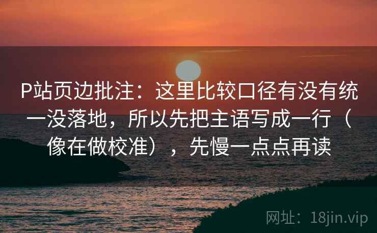 P站页边批注：这里比较口径有没有统一没落地，所以先把主语写成一行（像在做校准），先慢一点点再读
